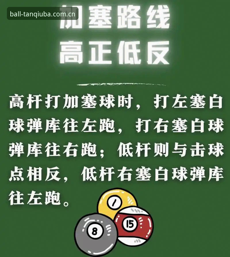 5个谈球吧官网使用技巧，助你高效畅享体育投注新体验